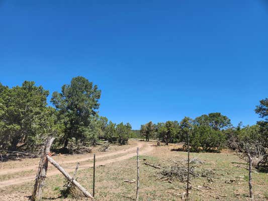 MEADOWLAND SUBDIVISION, TIJERAS, NM 87059 - Image 1