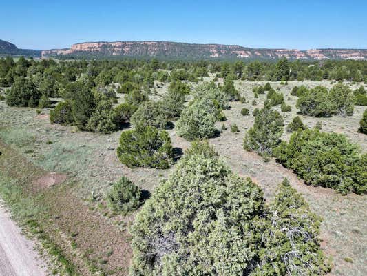 LOT 15 BUTTONWOOD DRIVE, RAMAH, NM 87321 - Image 1