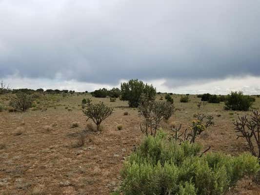 FLATTOP ROAD, MOUNTAINAIR, NM 87036, photo 5 of 8