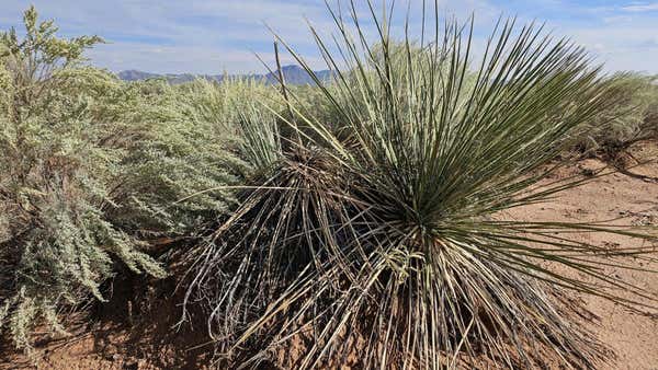 VL TIERRA GRANDE LOT 4 BLOCK 11 # 10, SOCORRO, NM 87801 - Image 1