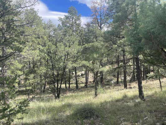 9.36 ACRES END OF HOP CANYON, MAGDALENA, NM 87825 - Image 1