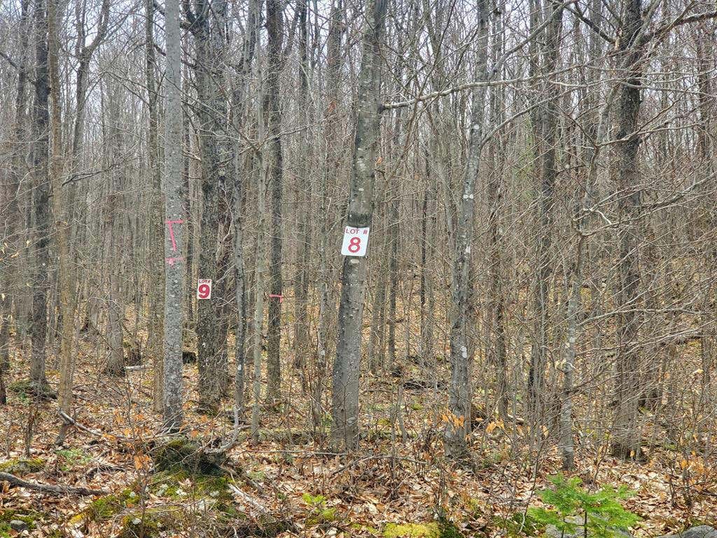 LOT 8 DAIGNEAU TRAIL, MERRILLSVILLE, NY 12989, photo 1 of 6