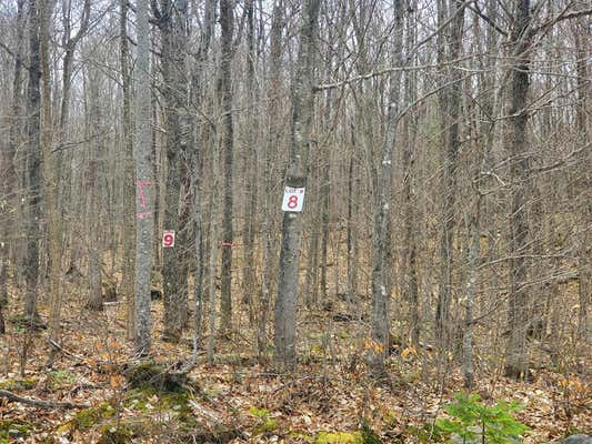 LOT 8 DAIGNEAU TRAIL, MERRILLSVILLE, NY 12989 - Image 1