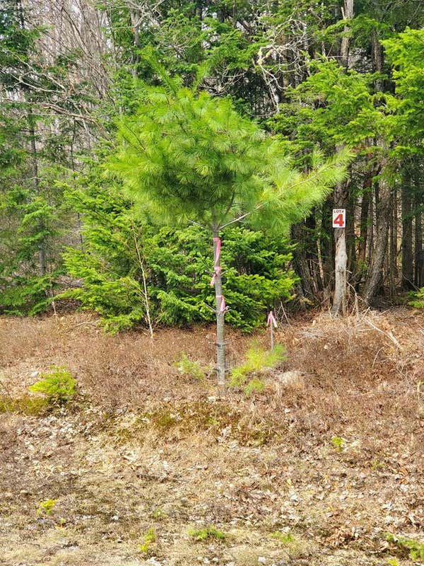 LOT 4 DAIGNEAU TRAIL, MERRILLSVILLE, NY 12989, photo 1 of 11