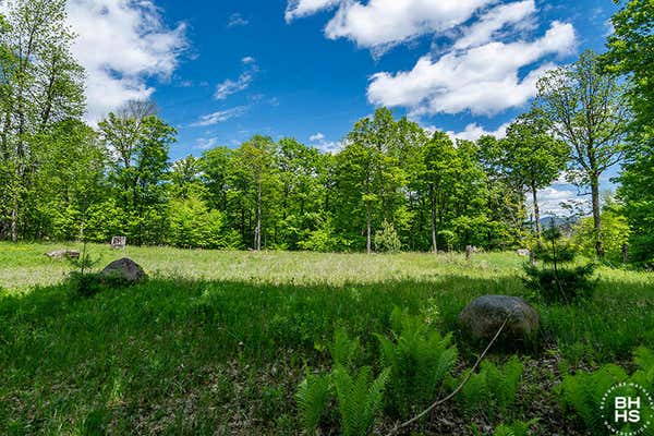 LOT 33 MT. PISGAH PARK, SARANAC LAKE, NY 12983 - Image 1