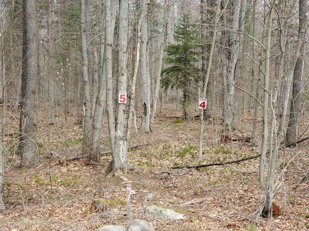 LOT 5 DAIGNEAU TRAIL, MERRILLSVILLE, NY 12989, photo 1 of 9