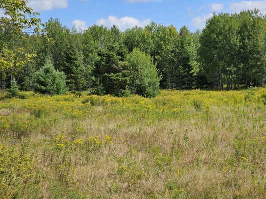 LOT 15 DAIGNEAU TRAIL, MERRILLSVILLE, NY 12989 - Image 1