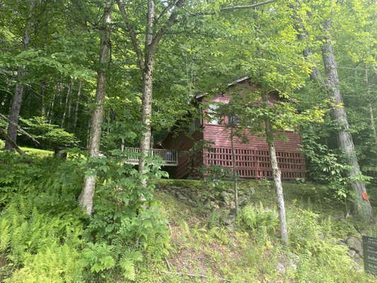 329 MOHAWK DR E, OLD FORGE, NY 13420 - Image 1