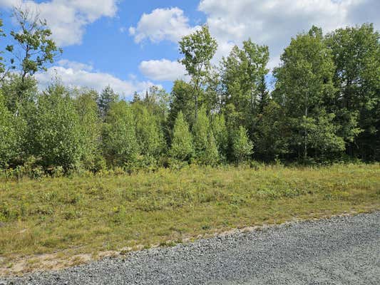 LOT 16 DAIGNEAU TRAIL, MERRILLSVILLE, NY 12989 - Image 1