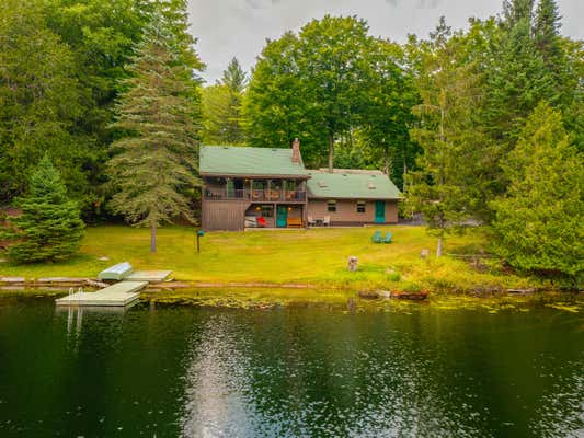 1463 GOODNOW FLOW RD, NEWCOMB, NY 12852 - Image 1