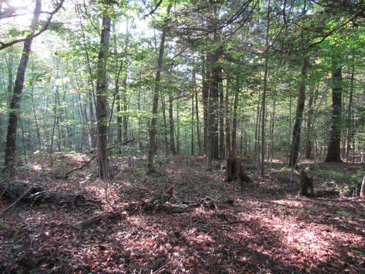 LOT 59 CAYUGA RD, OLD FORGE, NY 13420 - Image 1