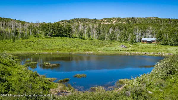 1165 COUNTY ROAD 53, MEEKER, CO 81641 - Image 1