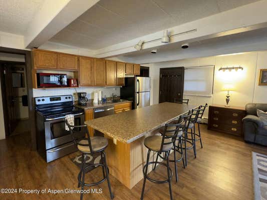 11101 COUNTY ROAD 117 # B1, GLENWOOD SPRINGS, CO 81601 - Image 1