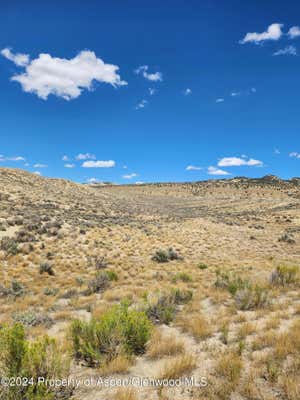 TBD SKULL CREEK, DINOSAUR, CO 81610 - Image 1