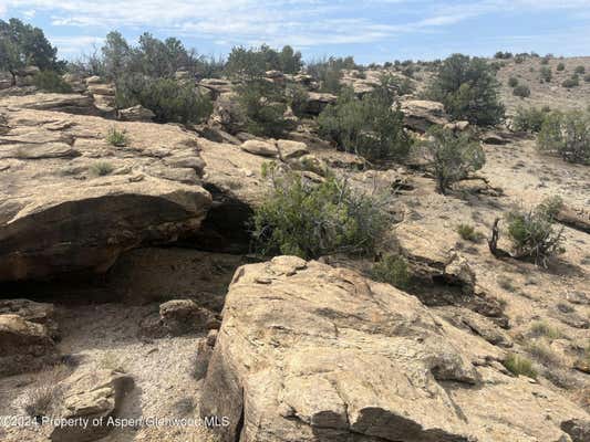 TBD TBD, WHITEWATER, CO 81527 - Image 1