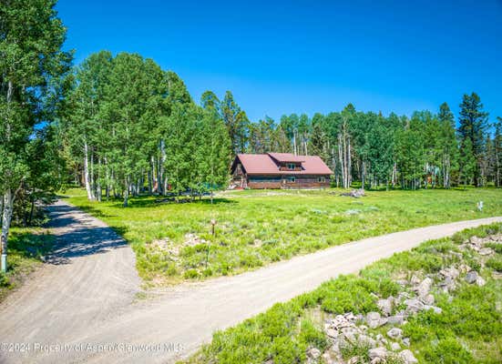 451 ASPEN DR, CIMARRON, CO 81220 - Image 1