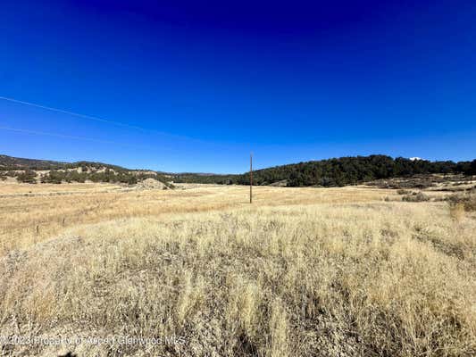 TBD CACTUS PARK ROAD, CEDAREDGE, CO 81413, photo 3 of 16