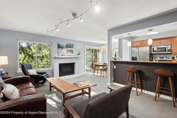 35 LOWER WOODBRIDGE RD # U175, SNOWMASS VILLAGE, CO 81615 - Image 1