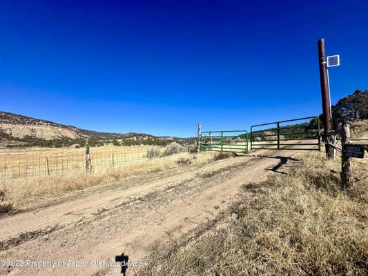 TBD CACTUS PARK ROAD, CEDAREDGE, CO 81413, photo 2 of 16