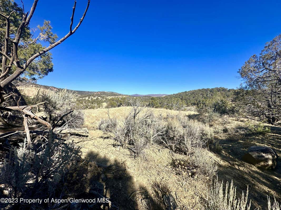 TBD CACTUS PARK ROAD, CEDAREDGE, CO 81413, photo 1 of 16