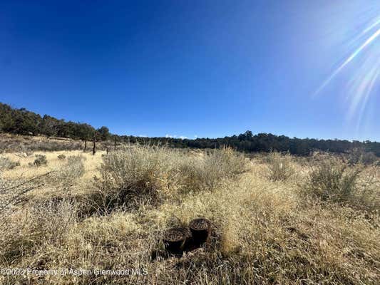 TBD CACTUS PARK ROAD, CEDAREDGE, CO 81413, photo 4 of 16