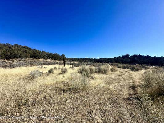 TBD CACTUS PARK ROAD, CEDAREDGE, CO 81413, photo 5 of 16