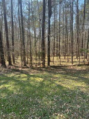 LOT 11 PETER CARNES DRIVE, NORTH AUGUSTA, SC 29860 - Image 1