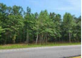 TRACT 5 TINKER CREEK, WILLISTON, SC 29853 - Image 1