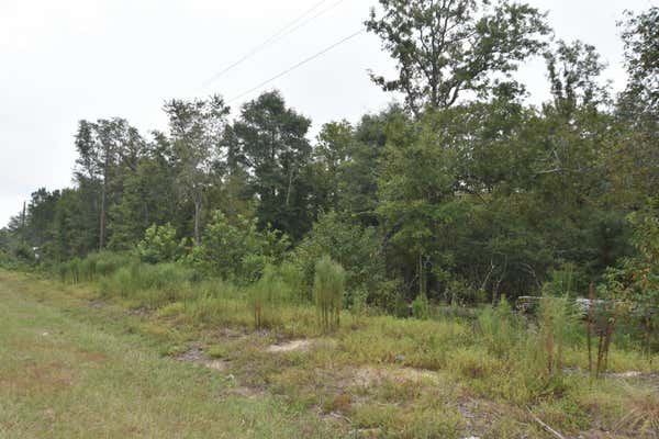 0 WAGENER ROAD, SALLEY, SC 29137 - Image 1