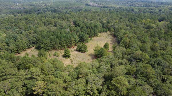 1365 DAIRY RD LOT 6, RIDGE SPRING, SC 29129 - Image 1