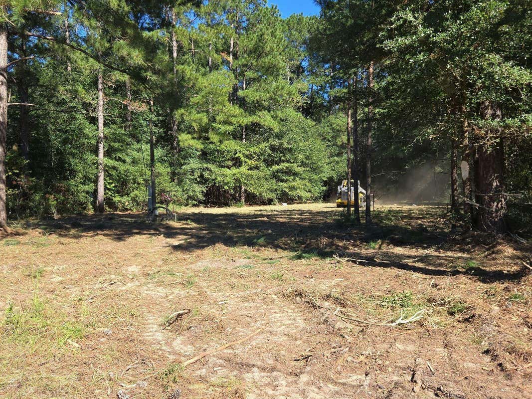 LOT 31 SHAD ROAD # LOT 31, WILLISTON, SC 29853, photo 1 of 2