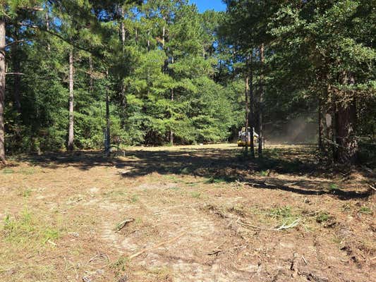 LOT 31 SHAD ROAD # LOT 31, WILLISTON, SC 29853 - Image 1