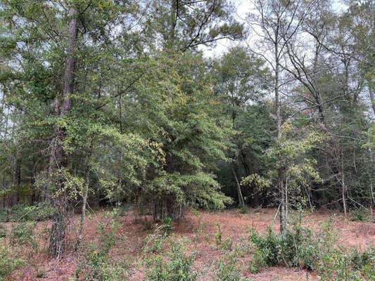 LOT D1 HONEYSUCKLE TRAIL # D1, SALLEY, SC 29137, photo 2 of 7