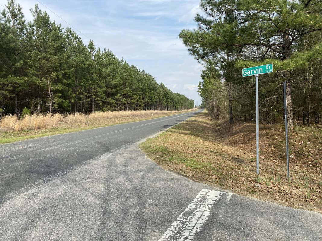 LOT 13 - COLLUM POND ROAD, WAGENER, SC 29164, photo 1