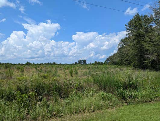 000 HOLLOW CREEK ROAD, SALLEY, SC 29137 - Image 1