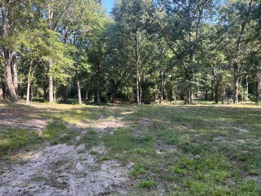 1.5 ACRE LAKEVIEW DRIVE, JOHNSTON, SC 29832 - Image 1