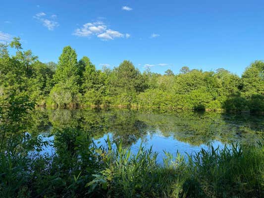 LOT 99 SUMMER LAKES DRIVE, AIKEN, SC 29805 - Image 1