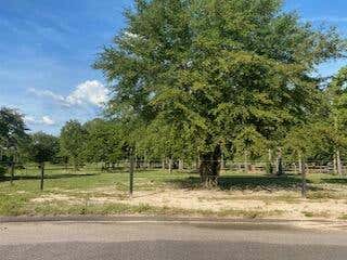 TBD DRESSAGE COURT, AIKEN, SC 29805 - Image 1