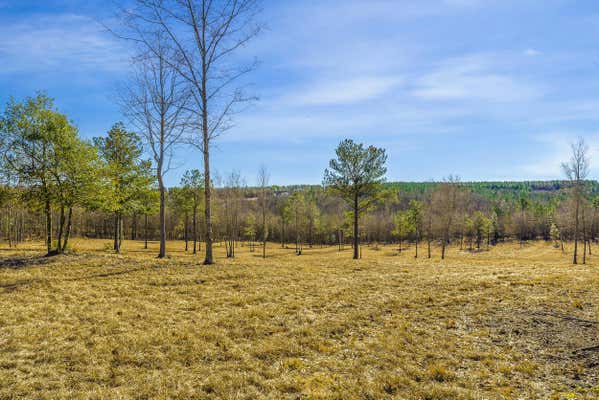 13.06ACRES REEVES STREET, AIKEN, SC 29805, photo 4 of 4