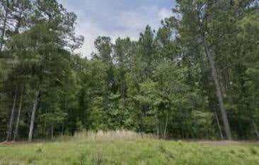 LOT B DANIEL AVENUE, JOHNSTON, SC 29832 - Image 1