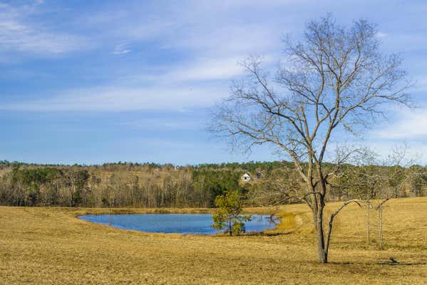 19.09ACRES REEVES STREET, AIKEN, SC 29805, photo 2 of 4