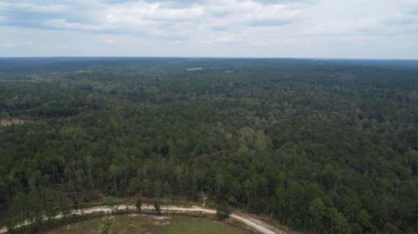 1365 DAIRY RD LOT 4, RIDGE SPRING, SC 29129 - Image 1