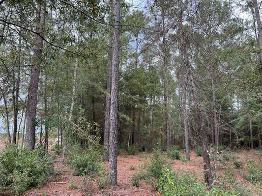 LOT D2 RAINBOW DRIVE # D2, SALLEY, SC 29137 - Image 1