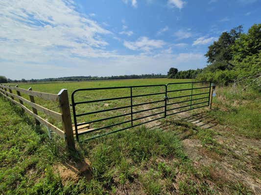 00 TINKER CREEK ROAD, WILLISTON, SC 29853, photo 2 of 20