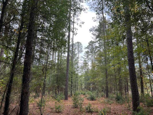 LOT D1 HONEYSUCKLE TRAIL # D1, SALLEY, SC 29137, photo 4 of 7