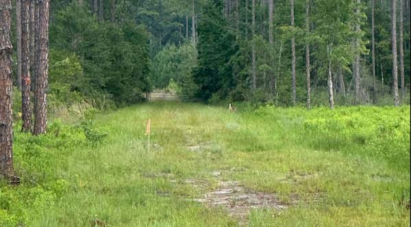 6136 US HWY 301, BRYCEVILLE, FL 32009 - Image 1