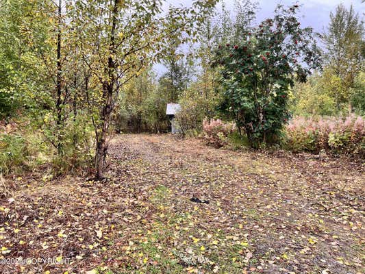 24187 W WADE DR, WILLOW, AK 99688 - Image 1