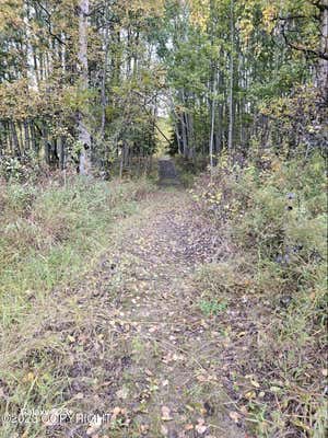 NHN SKI BOOT HILL ROAD, FAIRBANKS, AK 99701, photo 4 of 5