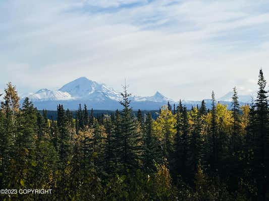 L9 B9 TAZLINA SW SUB, COPPER CENTER, AK 99573 - Image 1