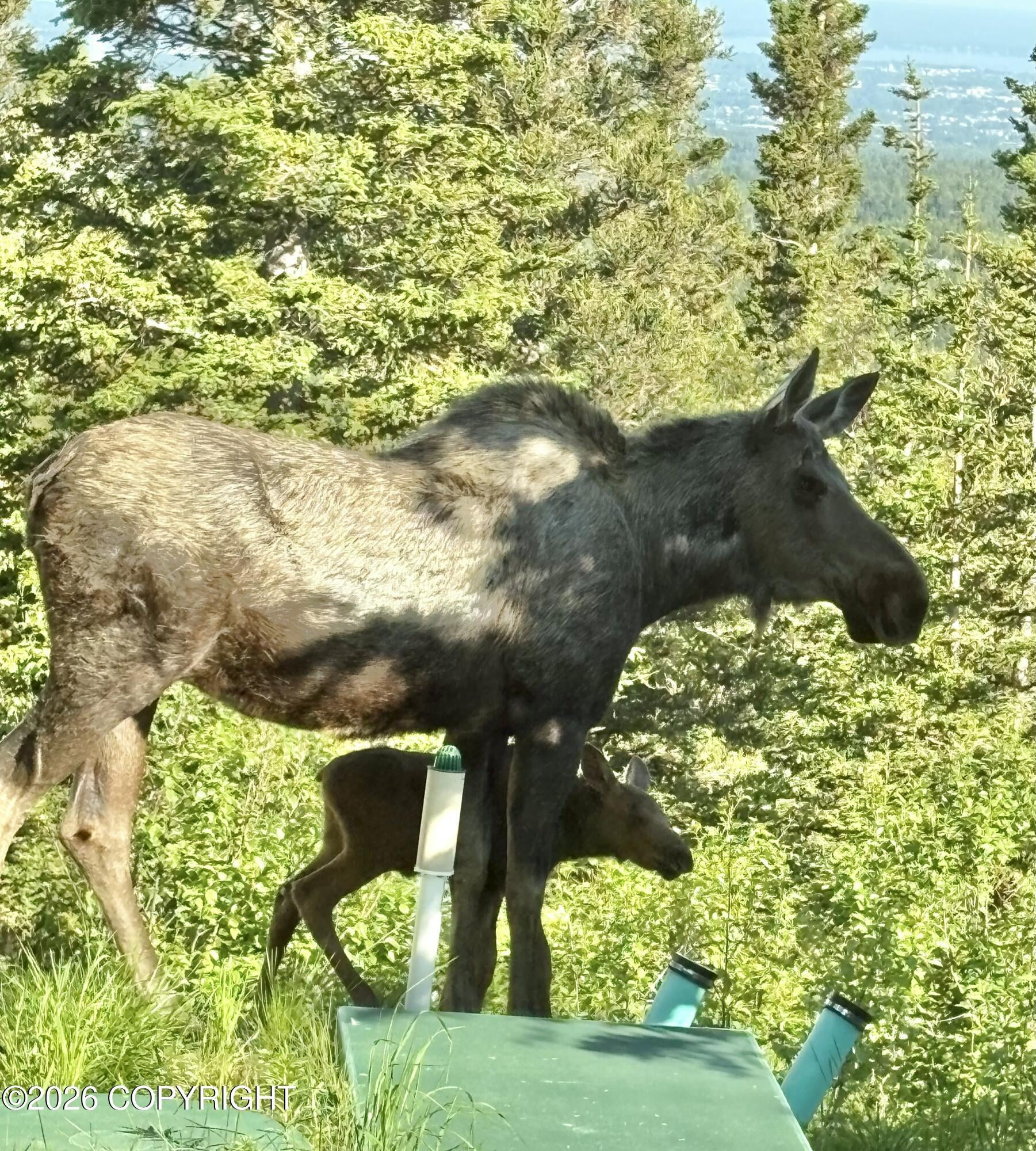 Anchorage, Alaska, 99516, United States, 4 Bedrooms Bedrooms, ,6 BathroomsBathrooms,Residential,Active,2011878